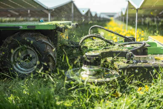 Palenmaaier Vector autonome maairobot op zonnepark | Vector Machines