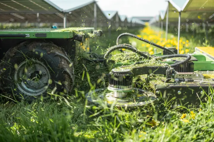Palenmaaier grasmaaien om palen op zonnemarken